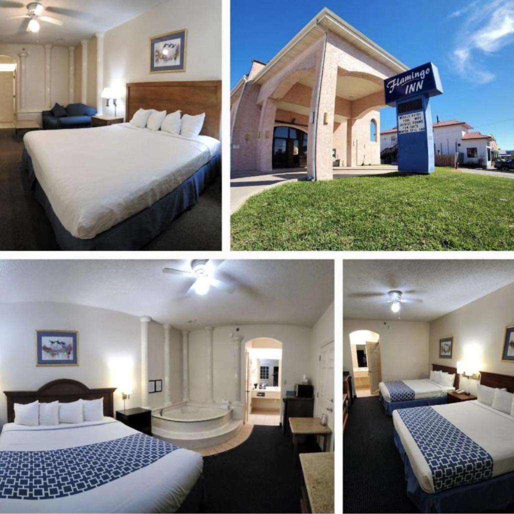 The Flamingo - South Padre Island Hotel Luaran gambar